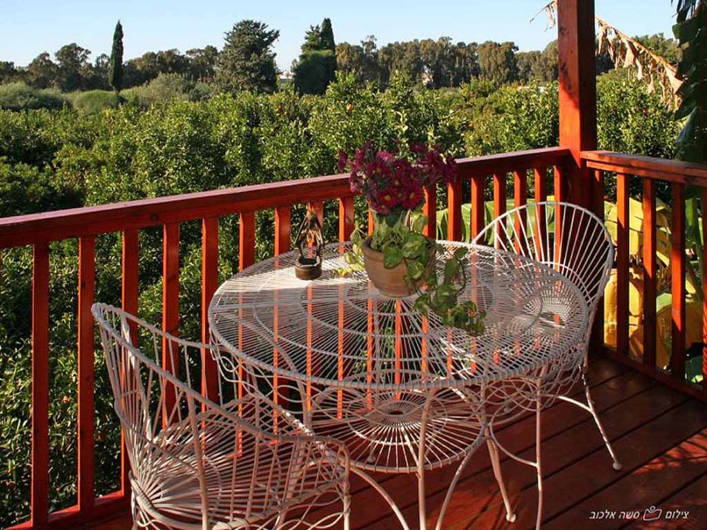 סוויטת ביקתפוז